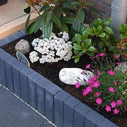 Quadroband Zwart 8x50x50 Uitlopend Artikel