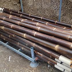 Bamboepalen BLACK Ø 10-12x300 cm. (262319)