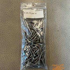 Hato Frame Schroeven RVS 4,2x32mm.  100 (st.)  20584232