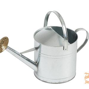 Gieter Traditioneel Verzinkt 9ltr.