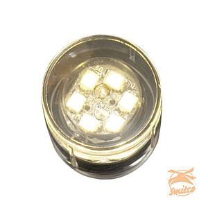 DB-Led