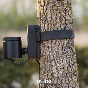 Brace Band