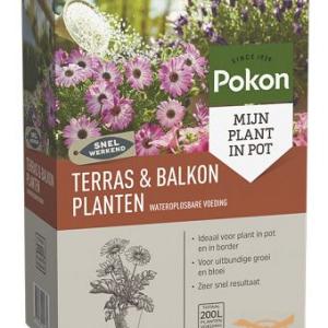 Pokon Terras & Balkonplanten Wateroplosbare Voeding  500gr.