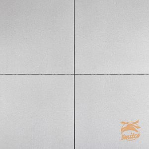 Trippel T 2Drive 100x100x6cm. Licht Grijs