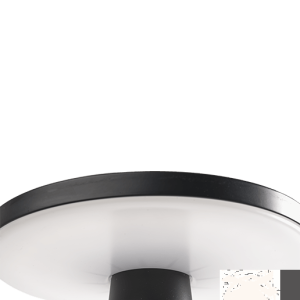 Disc Low