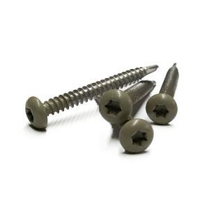 RVS Schroef Met Gekleurde Top Voor NTW Castellation PRO, set a 50 stuks Incl. Bit, Antique