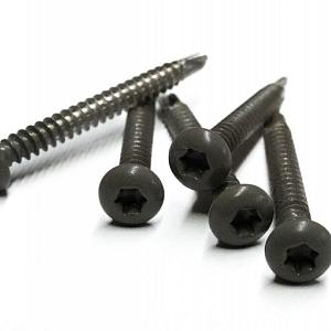 RVS Schroef Met Gekleurde Top Voor NTW Castellation PRO, set a 50 stuks Incl. Bit, Silver Gray