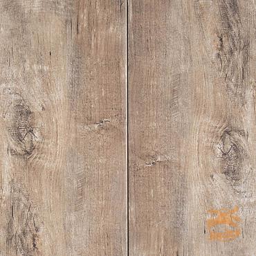 GeoCeramica® 80x40x4 Timber Noce