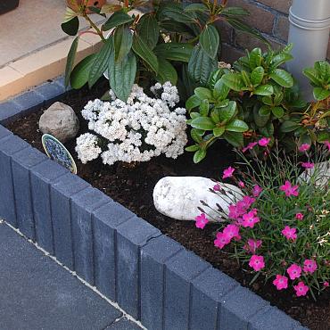 Quadroband Zwart 8x50x50 Uitlopend Artikel