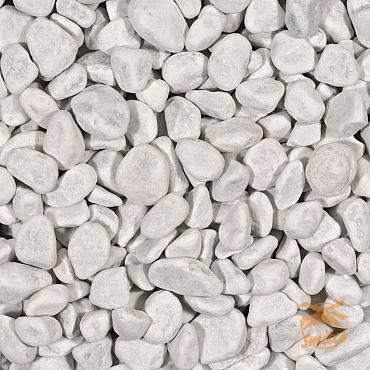 Zak Carrara Rond 16-25  20 kg.