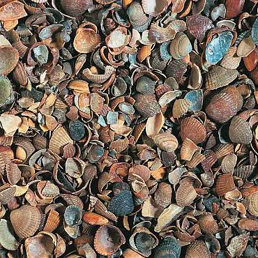 10 m3 Gewassen Schelpen, Los Gestort