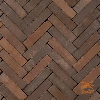 Brique Speciale Waalformaat 6 cm. Carpo (98/m2)