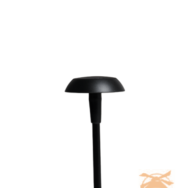 MINI SWAY CAP Black