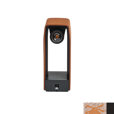 ACE Corten