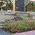 Combiwall Splitton Duo 60X15X12 Amiata (1 zijde gekloofd)