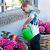 Gieter 2 ltr.  Groen