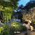 LIV Corten