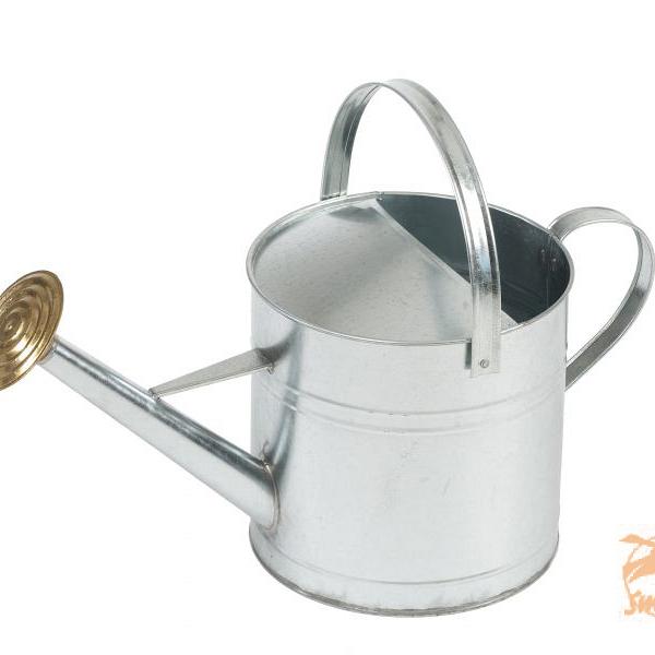 Gieter Traditioneel Verzinkt 9 ltr.