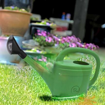 Gieter 5 ltr.  Groen