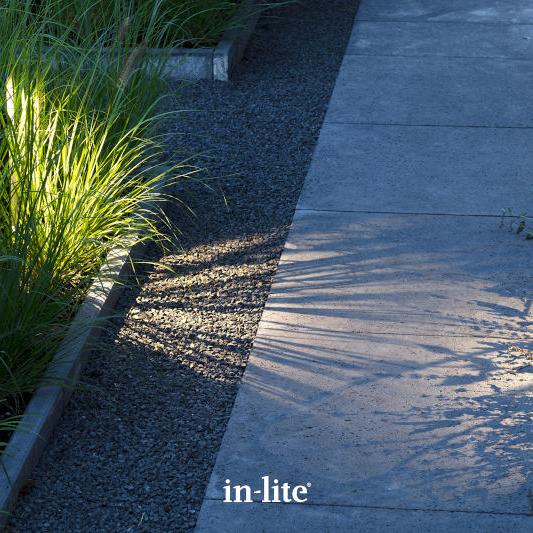 ACE HIGH Rose Silver