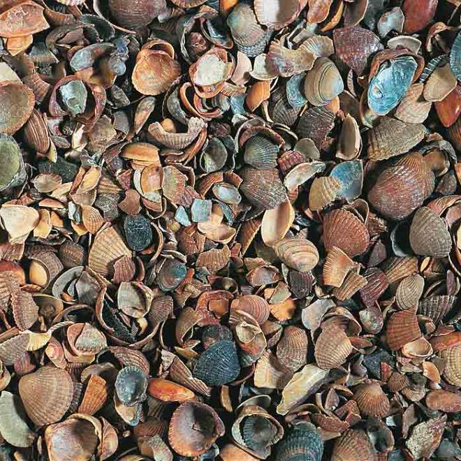 7 m3 Gewassen Schelpen Los Gestort