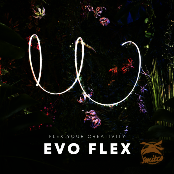 EVO FLEX 1  met driver 1