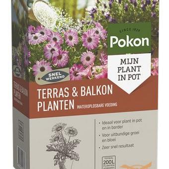Pokon Terras & Balkonplanten Wateroplosbare Voeding  500gr.