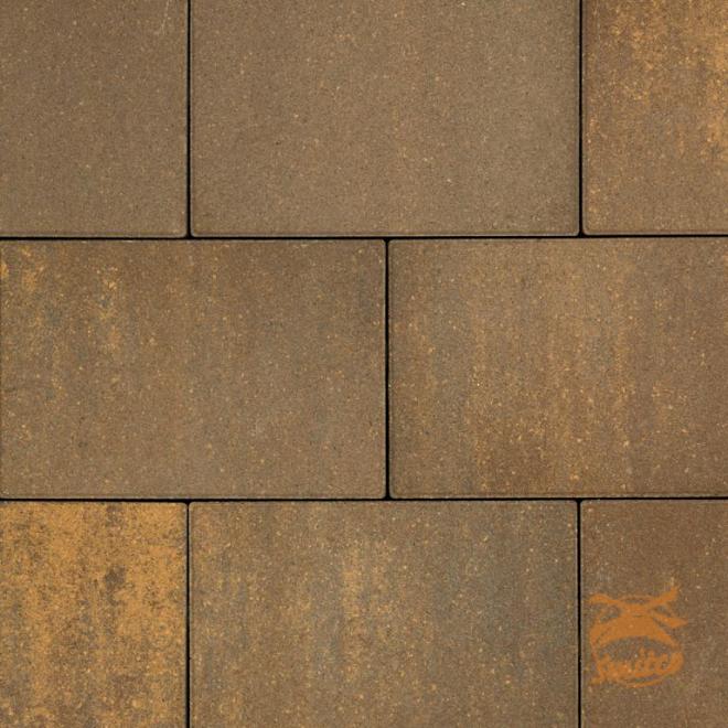 Vialetta 30x20x6 Colorato