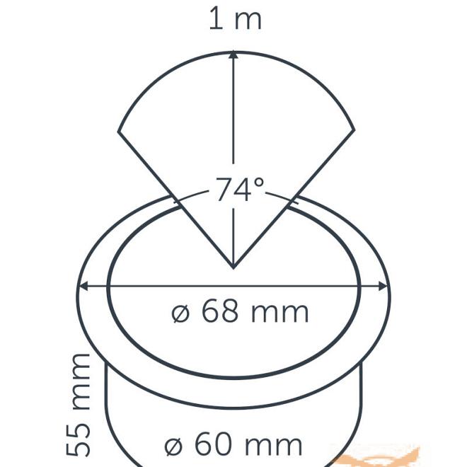 Hyve (WITHOUT RING)