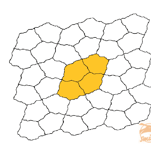 GeoArdesia Alivo Cannobio