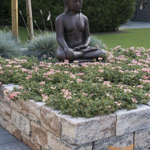 Combiwall Splitton Uno 30X15X12 Kilimanjaro (4 zijden gekloofd)