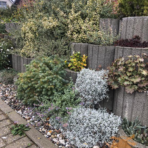 Cirkelflor Bloembak Antraciet