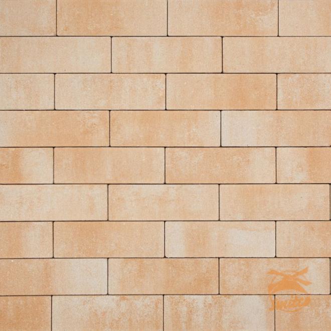 Smartton Vlak Mont Blanc