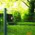 Pantanet Family Gaas Antraciet    81cm.x5mtr. op=op
