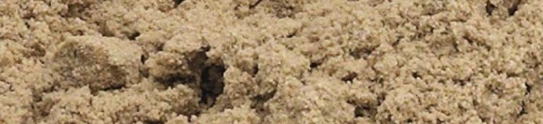 Zand