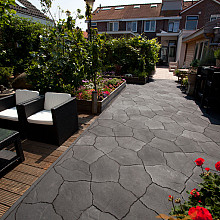 DuniaArdesia Alivo Milano