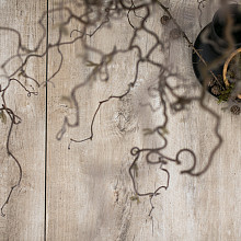 GeoCeramica Timber Tortera