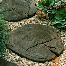 Timberstone Courtstone Stapsteen Coppice Brown