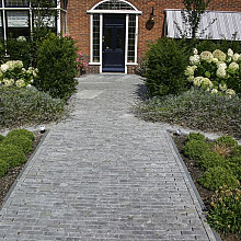 Spotted Bluestone Waalformaat 20 x 5 x 5  Getrommeld