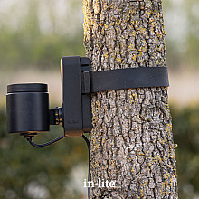 Brace Band