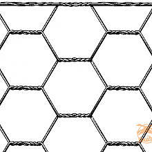 HEXANET GAAS PLASTIC GROEN MAAS 13, DRAAD 100, MAAT 100CMX10M